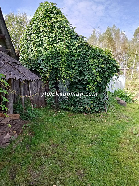 Дом с земельным участком в дер. Кочута, Торопецкий округ №969