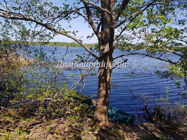 Земельный участок в дер. Засеново №329 Земельный участок в дер. Засеново №329