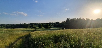 Что такое сотка земли и сколько это в метрах?