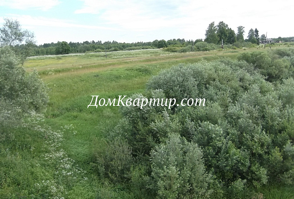 Дом с земельным участком в дер. Кочута, Торопецкий округ №969