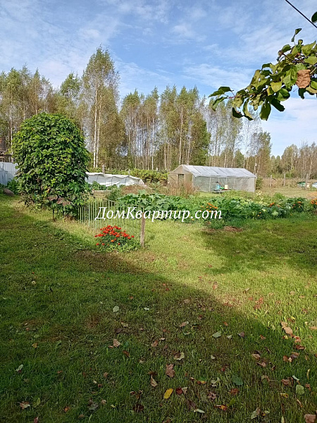 Дом с земельным участком в дер. Кочута, Торопецкий округ №969