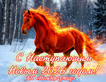 С наступающим Новым годом!