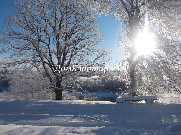 Дом с земельным участком в дер. Кочута, Торопецкий округ №969