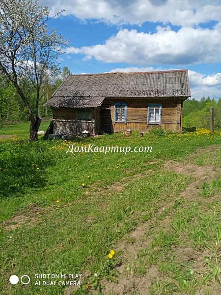 Дом под прописку у озера Рясо д. Церковище Невель №751 Дом под прописку у озера Рясо д. Церковище Невель №751