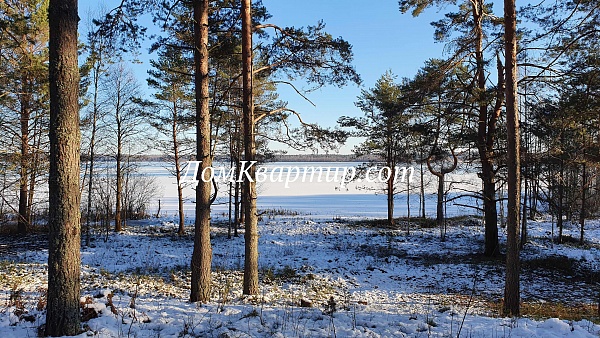 Земельный участок на берегу озера в дер. Грядцы №512 Земельный участок на берегу озера в дер. Грядцы №512