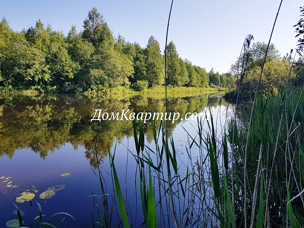 Земельный участок на берегу реки Торопа, дер. Бридино №490