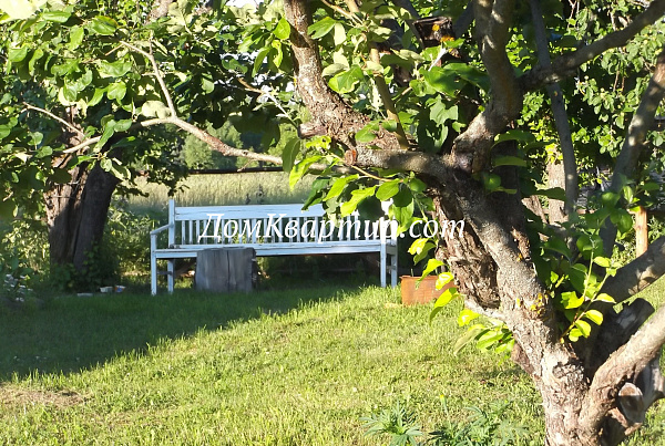 Дом с земельным участком в дер. Кочута, Торопецкий округ №969