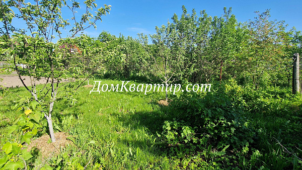 Дом с земельным участком в г. Торопец, ул. Льва Толстого №895