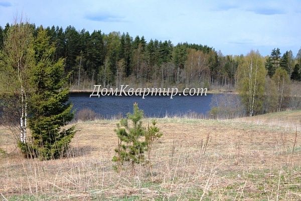 Земельный участок в дер. Загородечье №237