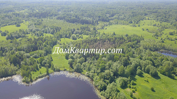 Земельный участок в Торопецком районе дер. Почеп №481