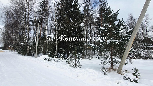 Земельный участок в дер. Лесная Торопецкий район №435 Земельный участок в дер. Лесная Торопецкий район №435