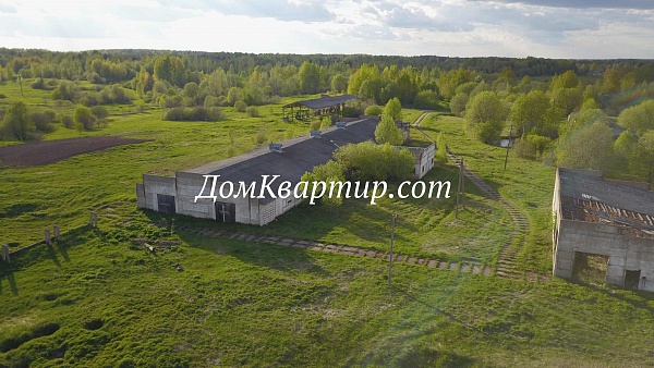 Коммерческая недвижимость, животноводческая ферма в дер. Крест Торопецкого района №80