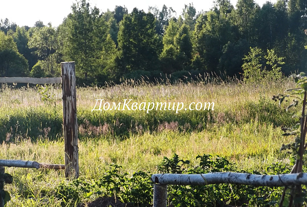 Дом с земельным участком в дер. Кочута, Торопецкий округ №969