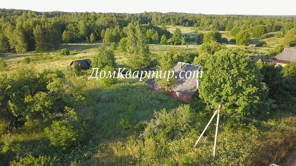 Дом в деревне Плюхново Псковской области №729