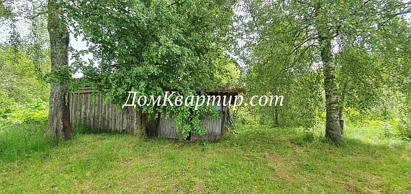 Дом с земельным участком в д. Пожня №940