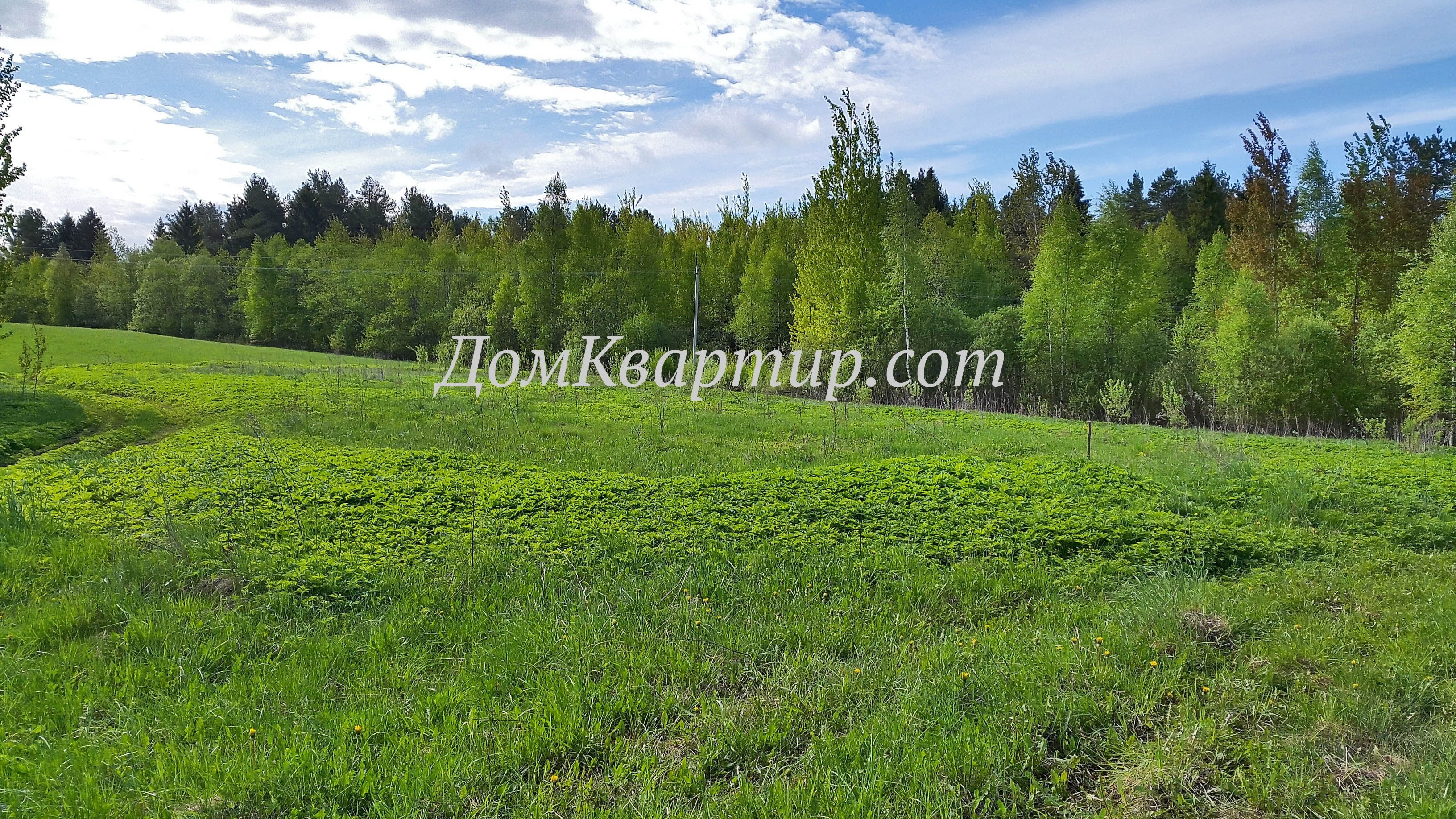 Купить Земельный Участок В Тверской Области