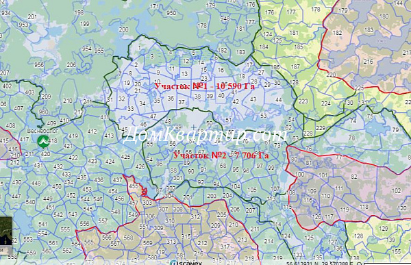 Охотничьи угодья/охотхозяйство в Псковской области Новосокольнический район №101