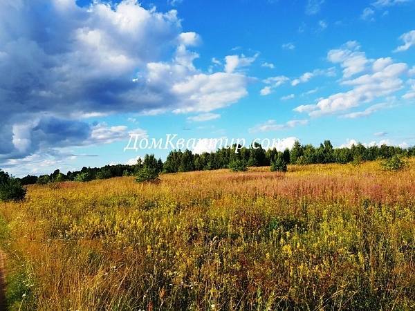 Земельный участок в дер. Курово №373 Земельный участок в дер. Курово №373