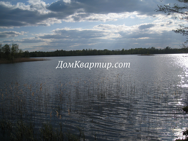 Земельный участок на берегу озера в д. Пыньки №439 Земельный участок на берегу озера в д. Пыньки №439