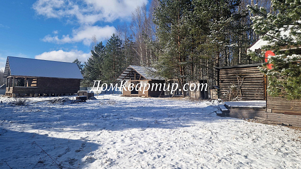 Дом с земельным участком у леса и реки в дер. Новый Бор №921