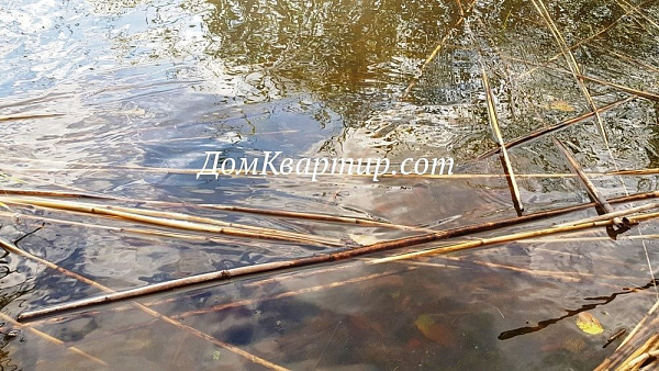 Земельный участок в дер. Курово №373 Земельный участок в дер. Курово №373