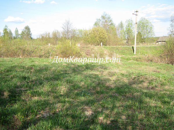 Земельный участок на берегу озера в д. Пыньки №439 Земельный участок на берегу озера в д. Пыньки №439