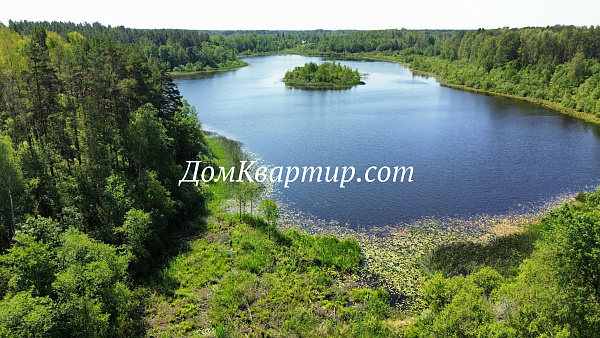 Дом для жизни и бизнеса на берегу 2-х озёр в Пустошке д. Костьково №947