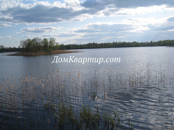Земельный участок на берегу озера в д. Пыньки №439 Земельный участок на берегу озера в д. Пыньки №439