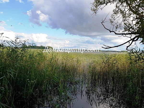 Земельный участок в дер. Курово №373 Земельный участок в дер. Курово №373