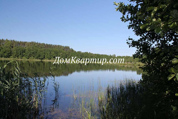 Земельный участок на берегу озера в д. Мещеки Торопецкий м.о. №545 