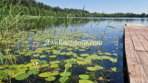 Дом для жизни и бизнеса на берегу 2-х озёр в Пустошке д. Костьково №947