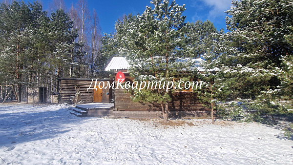 Дом с земельным участком у леса и реки в дер. Новый Бор №921