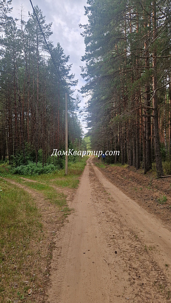 Земля - участок на берегу озера Волго (Селигер) в соснах под отель, базу отдыха, усадьбу, поселок №544
