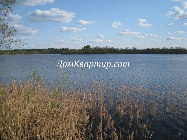 Земельный участок на берегу озера в д. Пыньки №439 Земельный участок на берегу озера в д. Пыньки №439