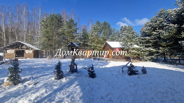 Дом с земельным участком у леса и реки в дер. Новый Бор №921