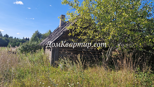 Дом с участком в дер. Ольховка Торопецкий округ №956