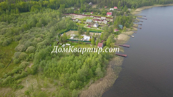 Земельный участок на берегу озера Балаздынь Псковской области №472