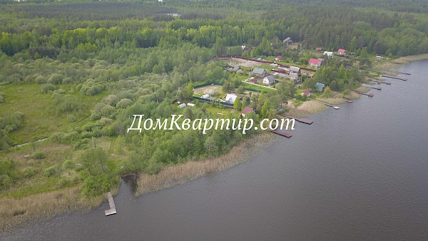 Земельный участок на берегу озера Балаздынь Псковской области №472