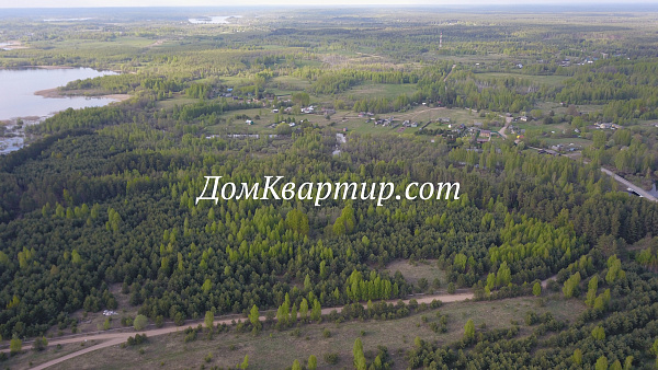 Земельный участок у Жижицкого озера в д. Михайловское, Кунья №539
