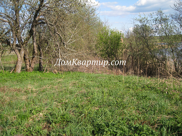 Земельный участок на берегу озера в д. Пыньки №439 Земельный участок на берегу озера в д. Пыньки №439