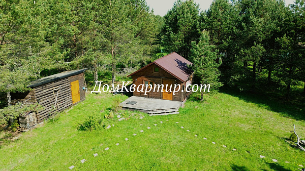 Дом с земельным участком у леса и реки в дер. Новый Бор №921