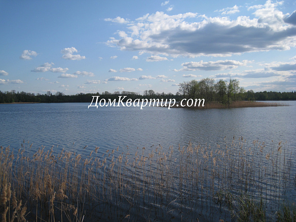 Земельный участок на берегу озера в д. Пыньки №439 Земельный участок на берегу озера в д. Пыньки №439