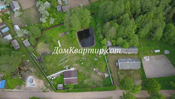 Дом с земельным участком в Псковской области дер. Гололобы №815