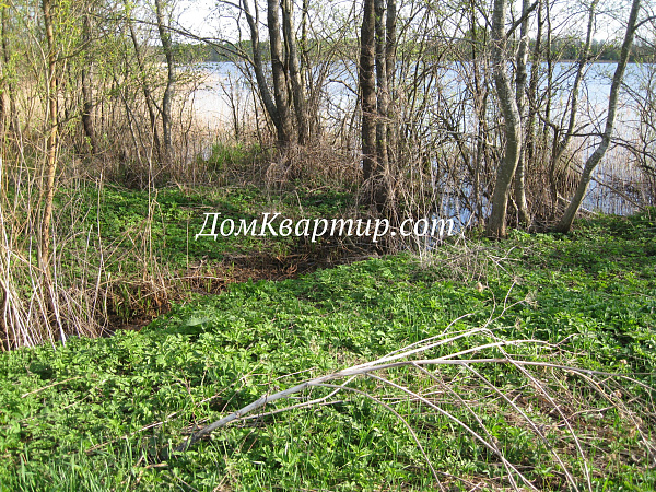 Земельный участок на берегу озера в д. Пыньки №439 Земельный участок на берегу озера в д. Пыньки №439
