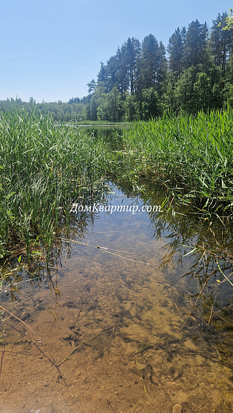 Дом для жизни и бизнеса на берегу 2-х озёр в Пустошке д. Костьково №947