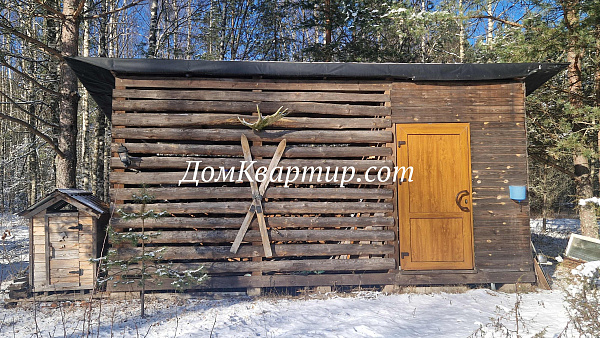 Дом с земельным участком у леса и реки в дер. Новый Бор №921