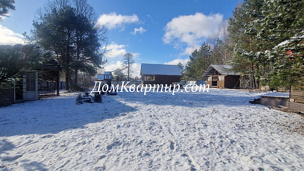 Дом с земельным участком у леса и реки в дер. Новый Бор №921