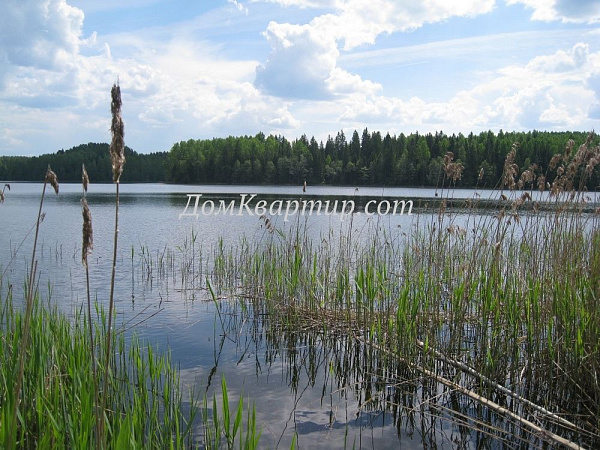 Земельный участок в дер. Яновищи № 109